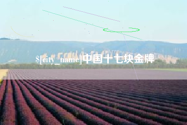 丽水中国十七块金牌