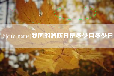 丽水我国的消防日是多少月多少日
