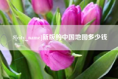 丽水新版的中国地图多少钱