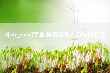 丽水宁夏消防报名入口官网公告