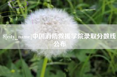 丽水中国消防救援学院录取分数线公布