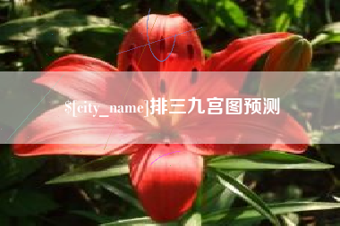 丽水排三九宫图预测