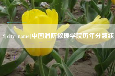 丽水中国消防救援学院历年分数线