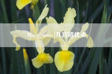 丽水九宫格优点