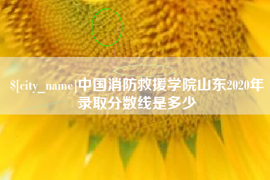 丽水中国消防救援学院山东2020年录取分数线是多少