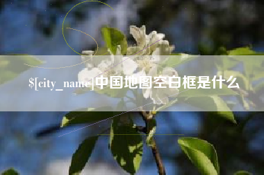 丽水中国地图空白框是什么