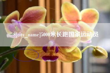 丽水5000米长跑国家运动员