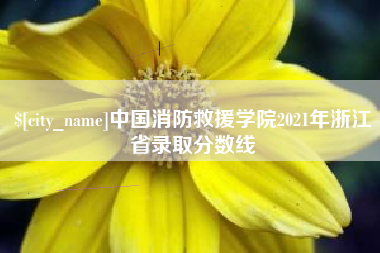 丽水中国消防救援学院2021年浙江省录取分数线