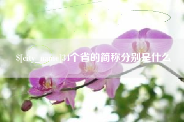 丽水34个省的简称分别是什么
