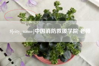 丽水中国消防救援学院 老师