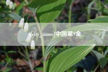 丽水中国第9金