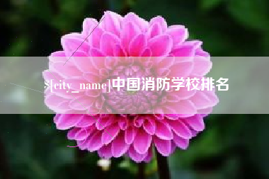丽水中国消防学校排名