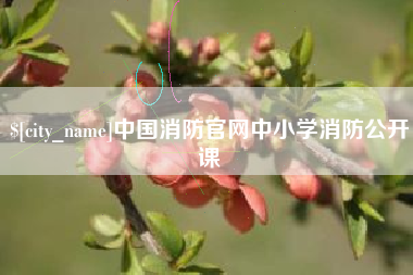 丽水中国消防官网中小学消防公开课