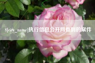 丽水执行信息公开网查到的案件