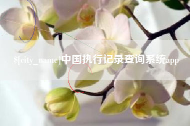 丽水中国执行记录查询系统app