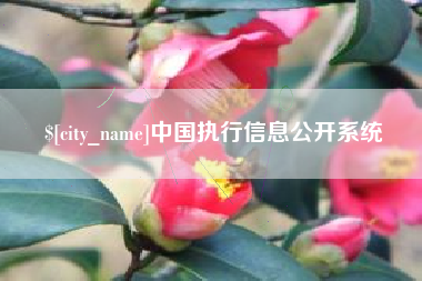 丽水中国执行信息公开系统