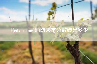 丽水消防大学分数线是多少