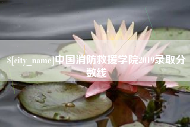 丽水中国消防救援学院2019录取分数线