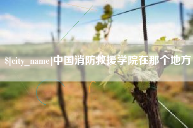 丽水中国消防救援学院在那个地方