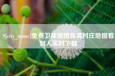 丽水免费卫星地图高清村庄地图看到人实时下载