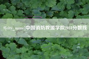 丽水中国消防救援学院2018分数线