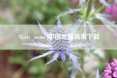 丽水中国地图高清下载