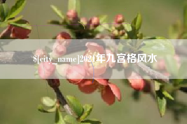 丽水2021年九宫格风水