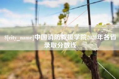 丽水中国消防救援学院2020年各省录取分数线