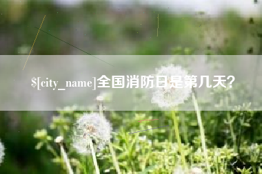 丽水全国消防日是第几天？