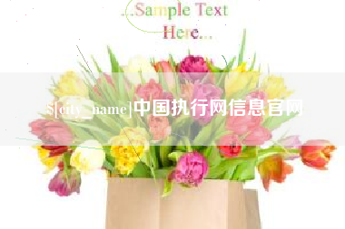 丽水中国执行网信息官网