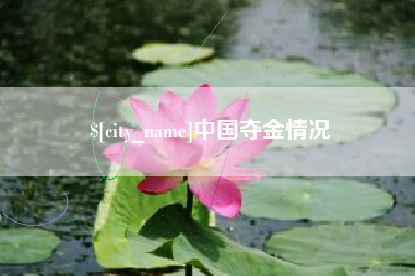丽水中国夺金情况