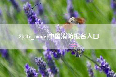 丽水中国消防报名入口