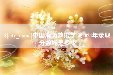 丽水中国消防救援学院2024年录取分数线是多少