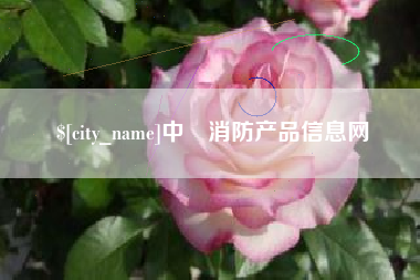 丽水中囯消防产品信息网