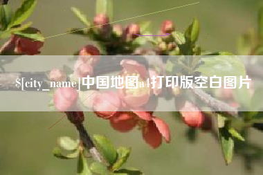 丽水中国地图a4打印版空白图片