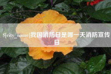丽水我国消防日是哪一天消防宣传日