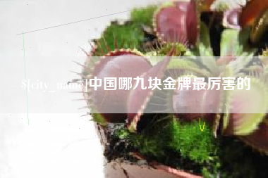 丽水中国哪九块金牌最厉害的