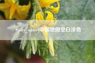 丽水中国地图空白涂色