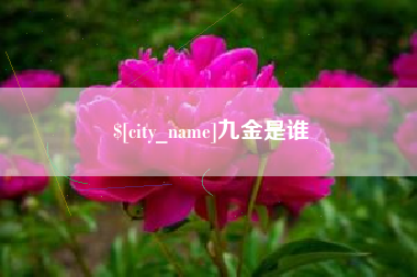 丽水九金是谁