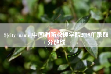 丽水中国消防救援学院2019年录取分数线