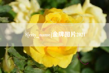 丽水金牌图片2021