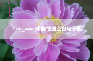 丽水中国地图空白电子版