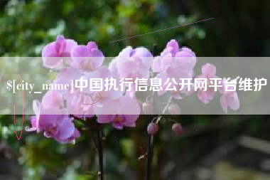 丽水中国执行信息公开网平台维护