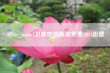 丽水卫星地图高清免费2024街景