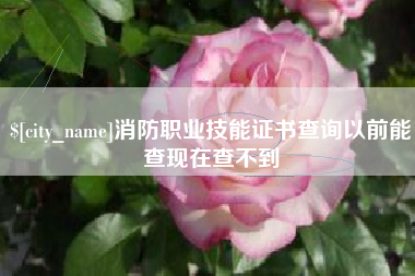 丽水消防职业技能证书查询以前能查现在查不到