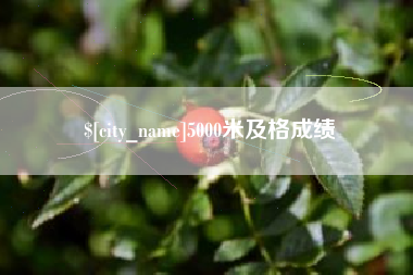 丽水5000米及格成绩