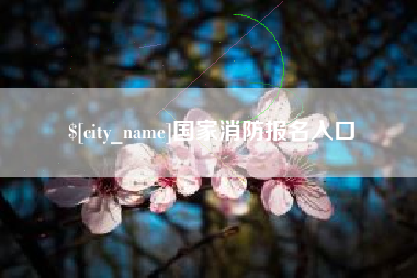 丽水国家消防报名入口