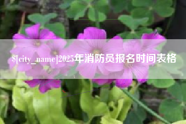 丽水2025年消防员报名时间表格