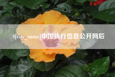 丽水中国执行信息公开网后