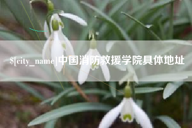 丽水中国消防救援学院具体地址